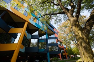 2021.09-MainframeMural-WindowTreeline-c.RyanDammanPhotography